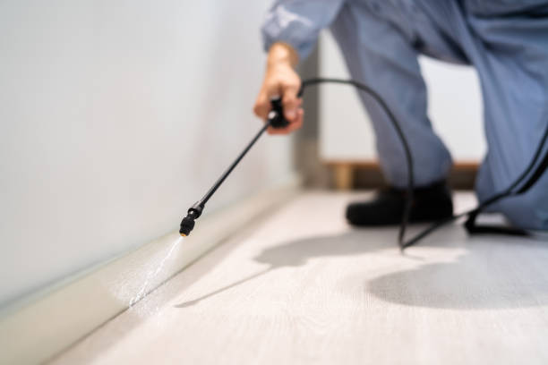 Licensed Termite Control service in Diamond Springs, CA - Nex Pest Control