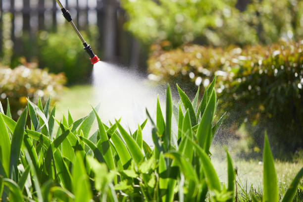 24/7 Emergency Termite Control experts in Diamond Springs, CA
