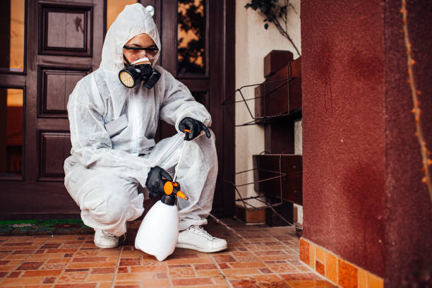 Reliable Termite Control contractor in Diamond Springs, CA by Nex Pest Control