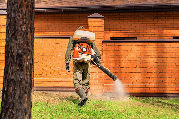 Trusted Termite Control service in Diamond Springs, CA - Nex Pest Control